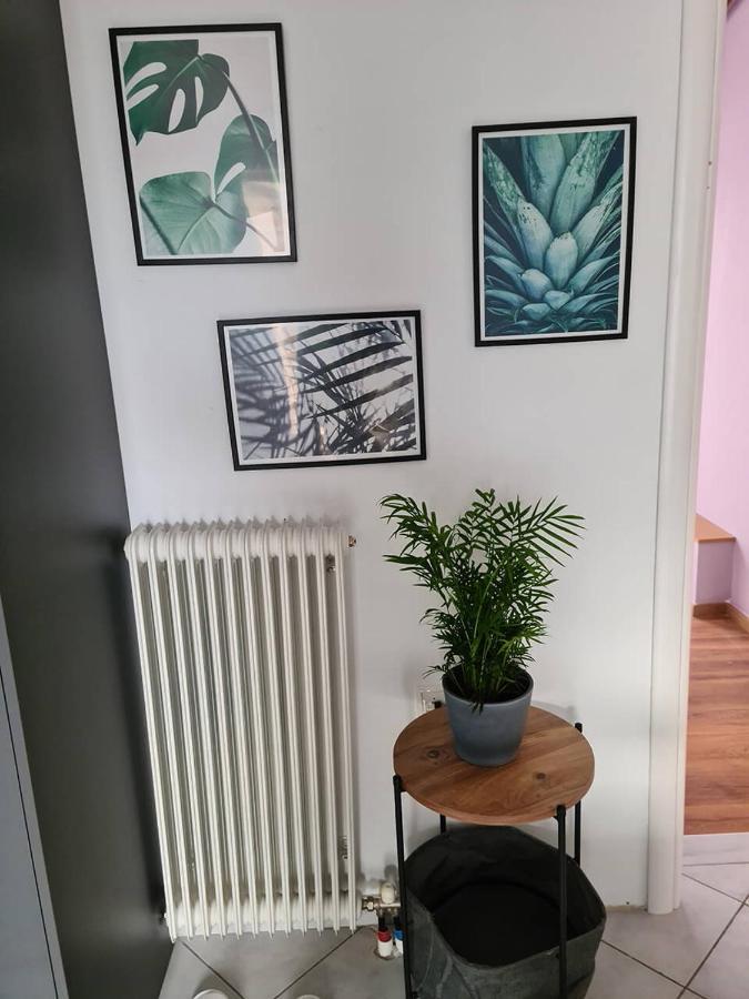 Comfy Urban Apartment อิโออันนินา ภายนอก รูปภาพ